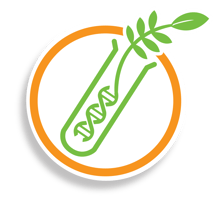 DNA Extraction