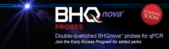 bhq-nova-early-access-email.jpg bhq-nova-early-access-email.jpg