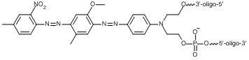 BHQ-1 Internal Modification Structure BHQ-1 Internal Modification Structure