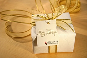 imgHolidayGift.jpg imgHolidayGift.jpg