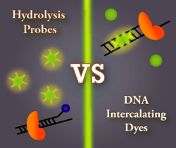 sybr-vs-probe.png