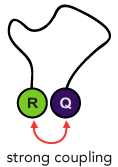 Fluorescence Quenching Mechanisms for Dual-Labeled Probes