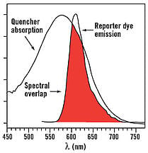 chart spectral overlap FRET