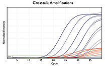 Crosstalk Amplifications