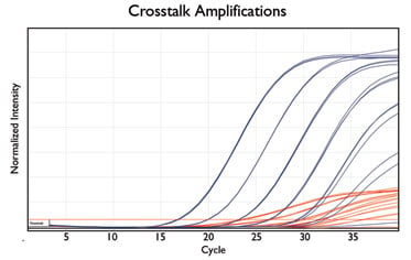 Crosstalk Amplifications