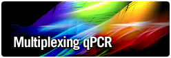 multiplexing qPCR