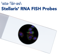 Stellaris RNA FISH Probes