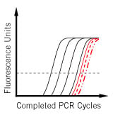 qPCR Troubleshooting