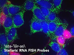 Stellaris RNA FISH
