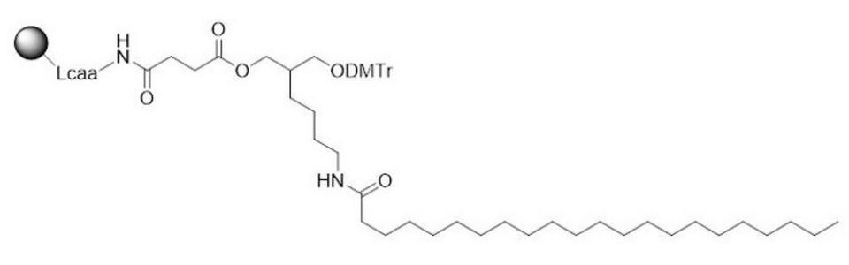 3-Docosanamino-C7-CPG