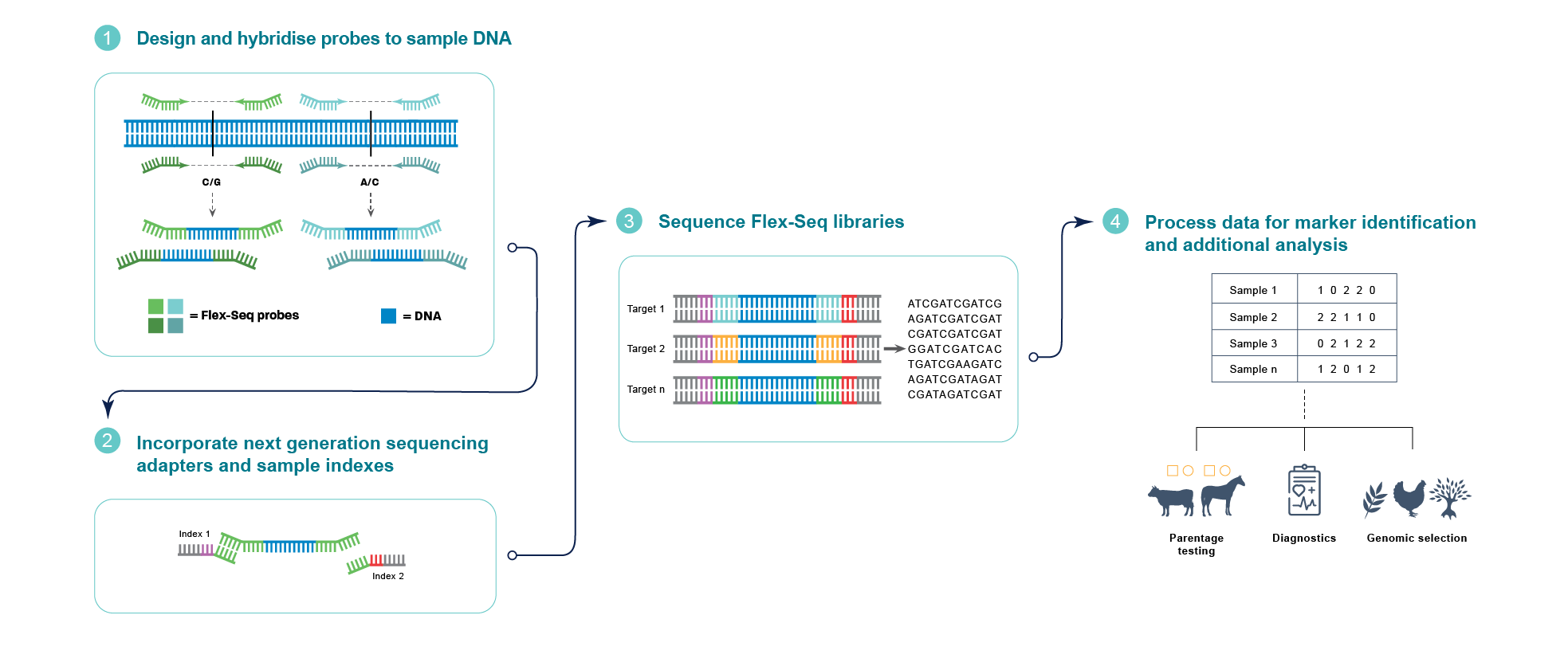 How does Flex-Seq from LGC Biosearch Technologies work?