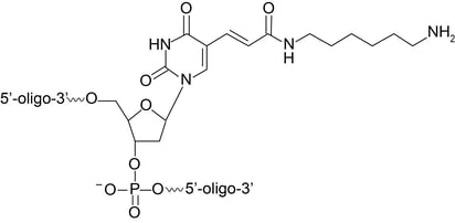 Amino group conjugated via a polyethlene glycol (PEG) linker to a modified cytidine at the 3 end v3