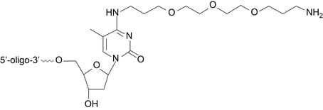 Amino group conjugated via a ten-atom linker to a modified thymidine v2-1