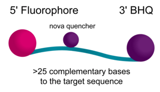 BHQnova_text_highres-cropped
