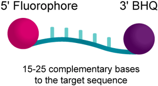 BHQplus_probe_image