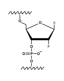 2′-fluoro modification