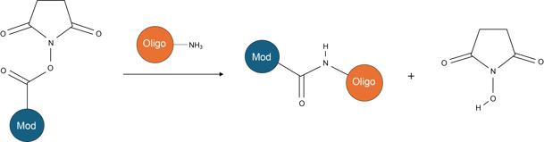 Conjugation of an NHS ester with an amino group attached to an oligo v2-1