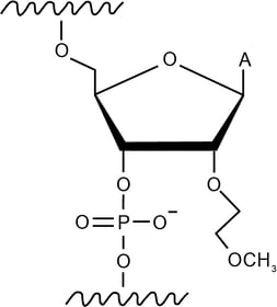 Image 1-1