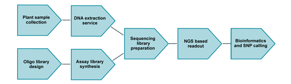 seqsnp-project-workflow