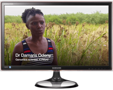 Dr. Damaris Odeney of ICRISAT