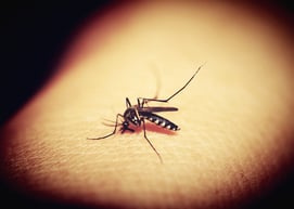 Malaria, the mosquito-borne disease, caused 212 million clinical episodes and 429,000 deaths in 2015.