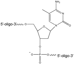 Molecular structure of 5-methyl deoxycytidine 150 ppi