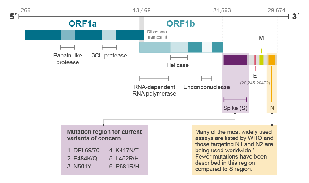 Emerging SARS-CoV-2 Mutations And Their Effect On The Immune Response