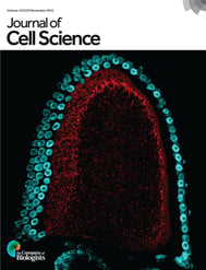 November Issue of JCS featuring Stellaris RNA FISH Image