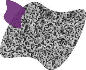 TIDES Europe landing page CPG structure