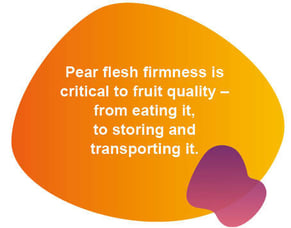 blog pear text in shape