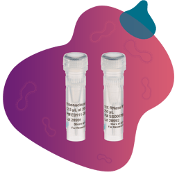 circular_RNA_design