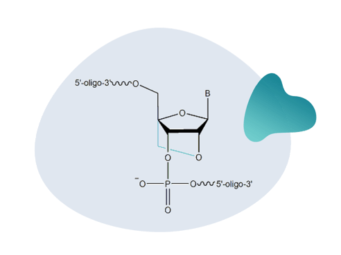 Locked Nucleic Acid probe (LNA)