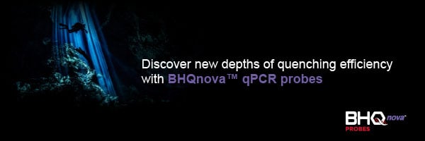 bhqnova-probes-quenching-efficiency-email.jpg