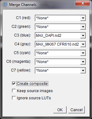 imagej-merge-channels-options-window.png