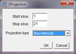 imagej-z-projection-options-window.png