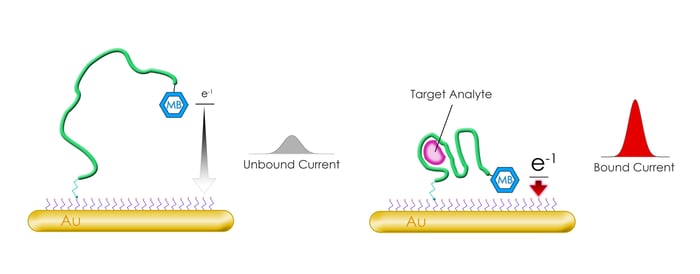 methylene blue aptamer diagram