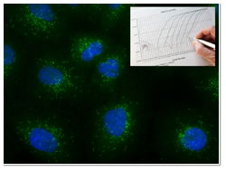 stellaris-qpcr.png