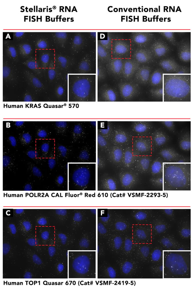 stellaris-rna-fish-buffers-vs-conventional-buffers-short.jpg