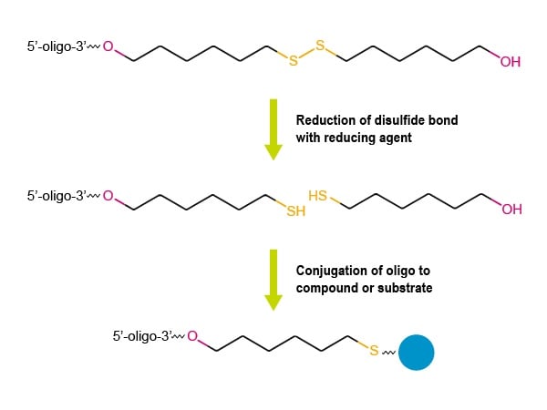 thiol-c6-fig-2v2.jpg