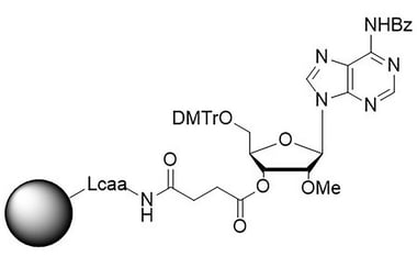 rA-Bz-2-OMe-CNA-CPG