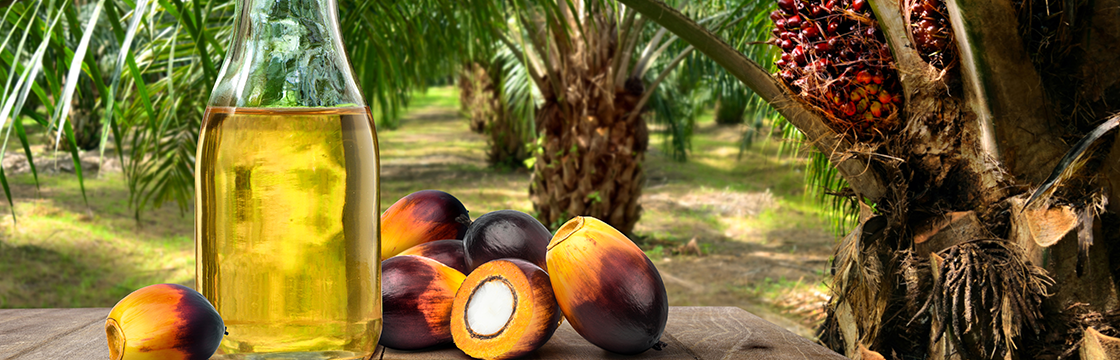 Why genome-editing CRISPR/Cas offers hope for accelerated sustainable crop improvement in oil palm