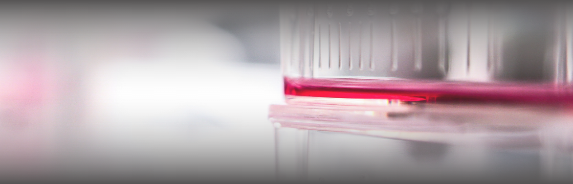 How CRISPR screening tools have advanced with Endura competent cells