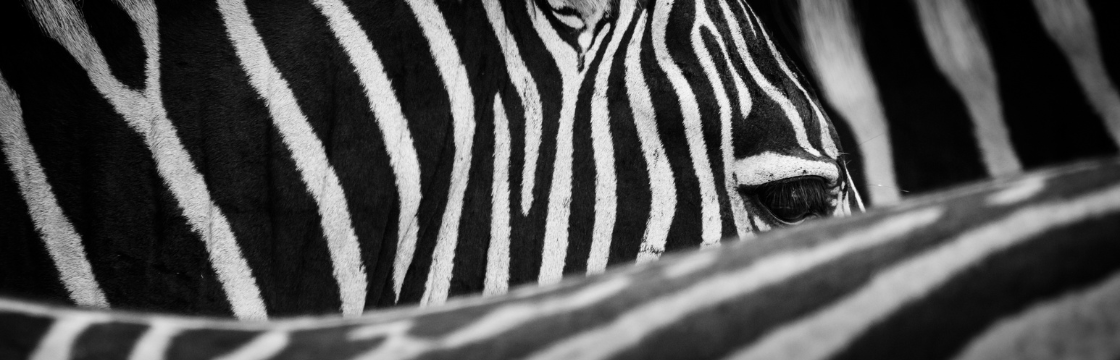 How lab-developed tests drive diagnostic innovations